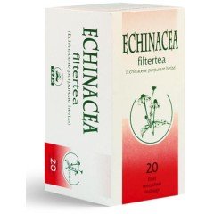 Echinacea tea 20 filter 20 filter Echinacea tea 20 filter 20 filter