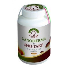 Fogarasi ganoderma shii-Take kapszula 90db Fogarasi ganoderma shii-Take kapszula 90db